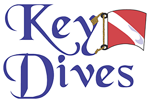 KD LOGO PNG NO BACK.png