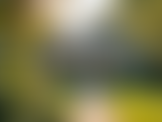 A cozy, affordable home in a quiet neighborhood