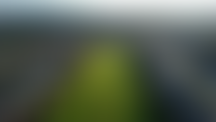 Stambeni kvart u Redmondu sa zelenim površinama i kućama