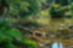 river home