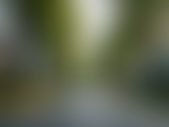 Eye-level view of a quiet residential street in a Seattle neighborhood with modern homes and greenery