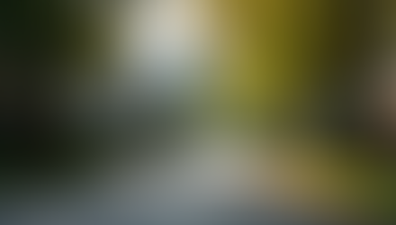 Quiet Kirkland neighborhood street