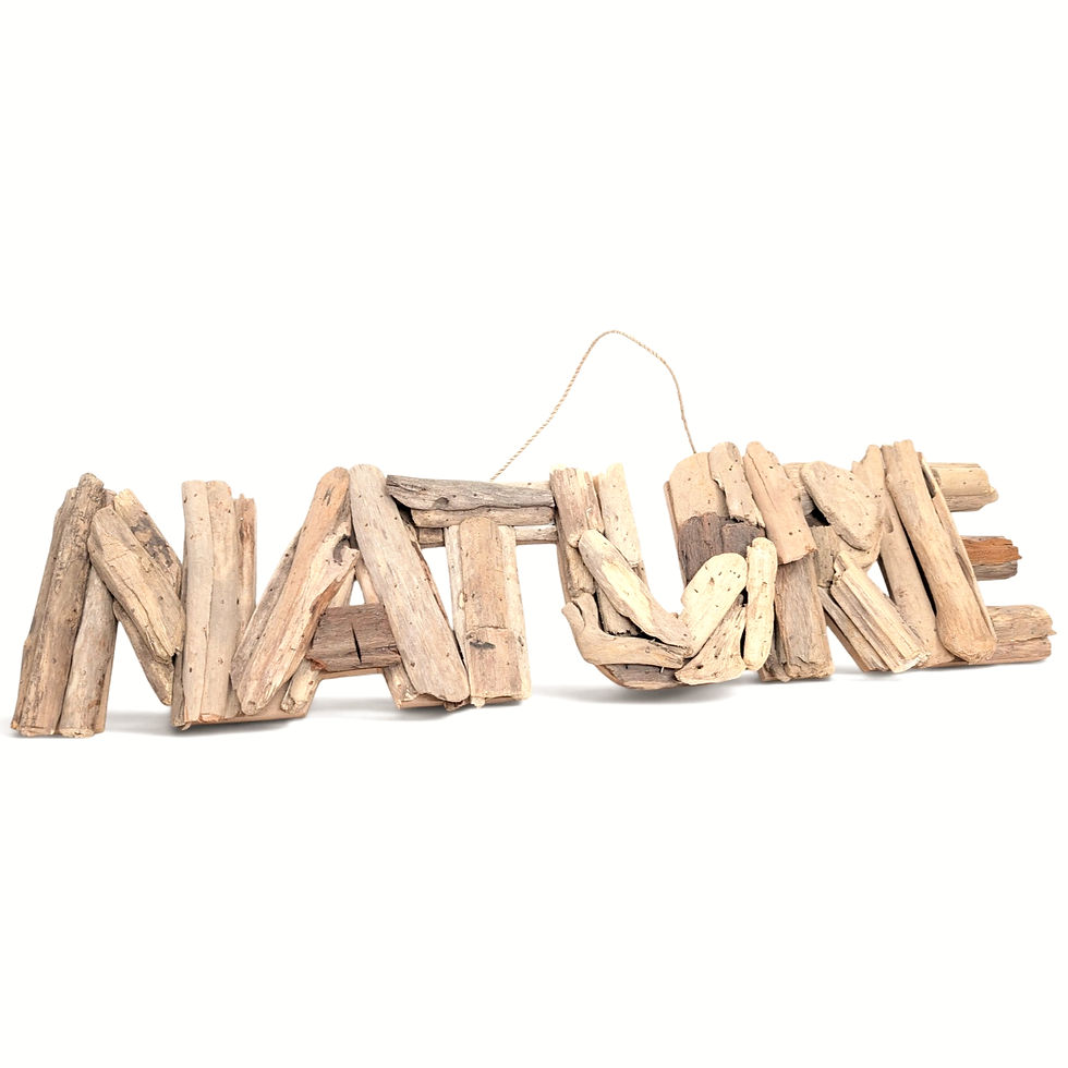 Artisan driftwood nature sign made from weathered wood pieces