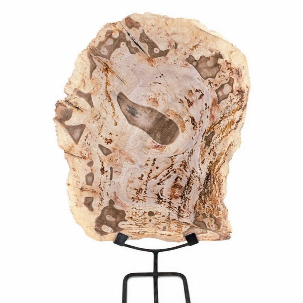 petrified wood sculpture metal stand natural grain