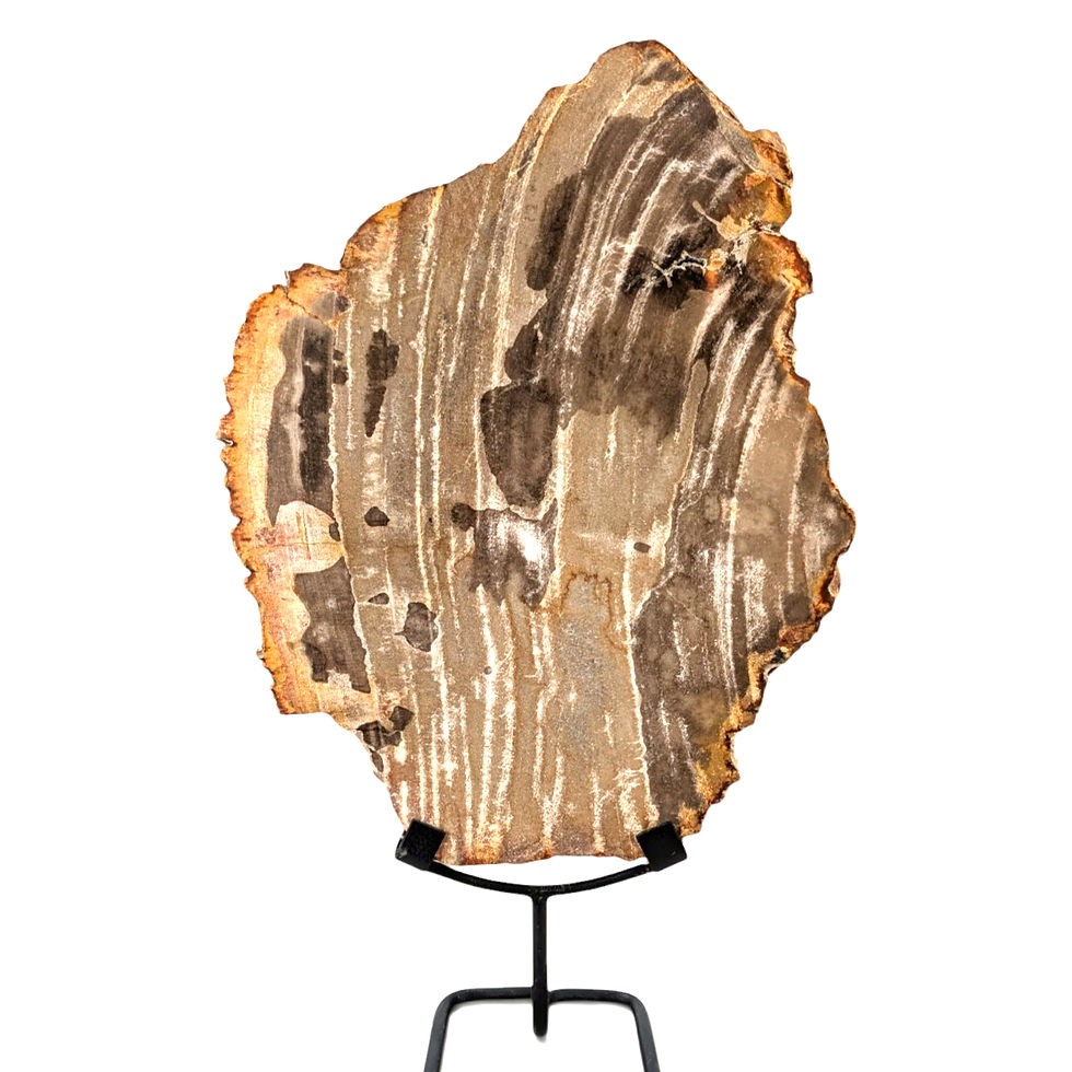 Thumbnail: Tabletop petrified wood statue combining polished and raw textures