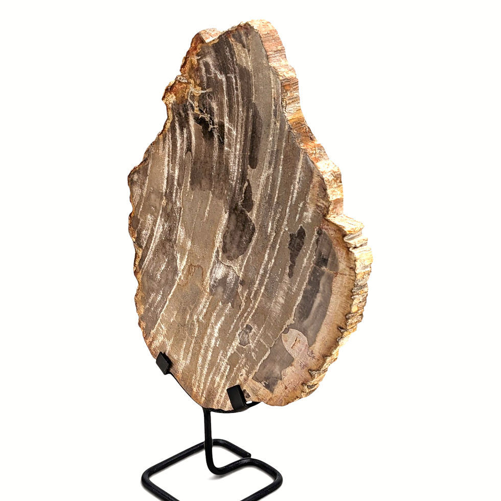 Thumbnail: Natural petrified wood statue with individually formed contours