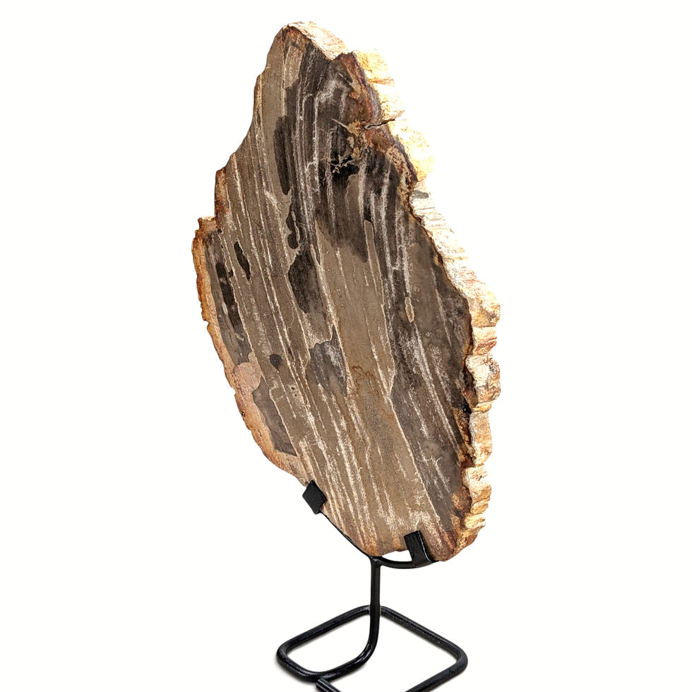 Thumbnail: Fossilized petrified wood statue preserving visible wood patterns