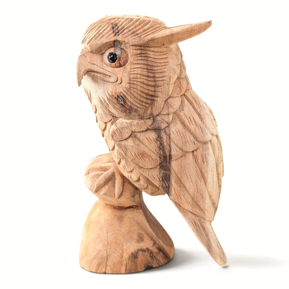 Thumbnail: Side view of a carved teakwood owl showing layered wing and chest feathers