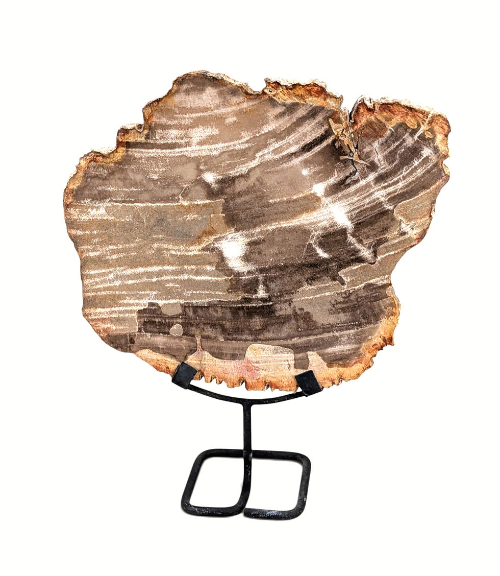Thumbnail: Natural petrified wood statue with a raw-edge formation