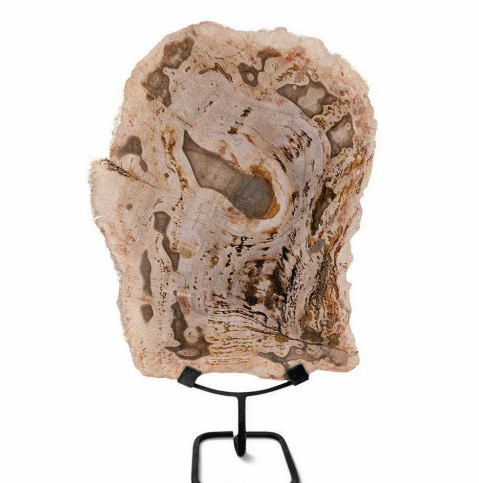 petrified wood sculpture metal stand natural grain