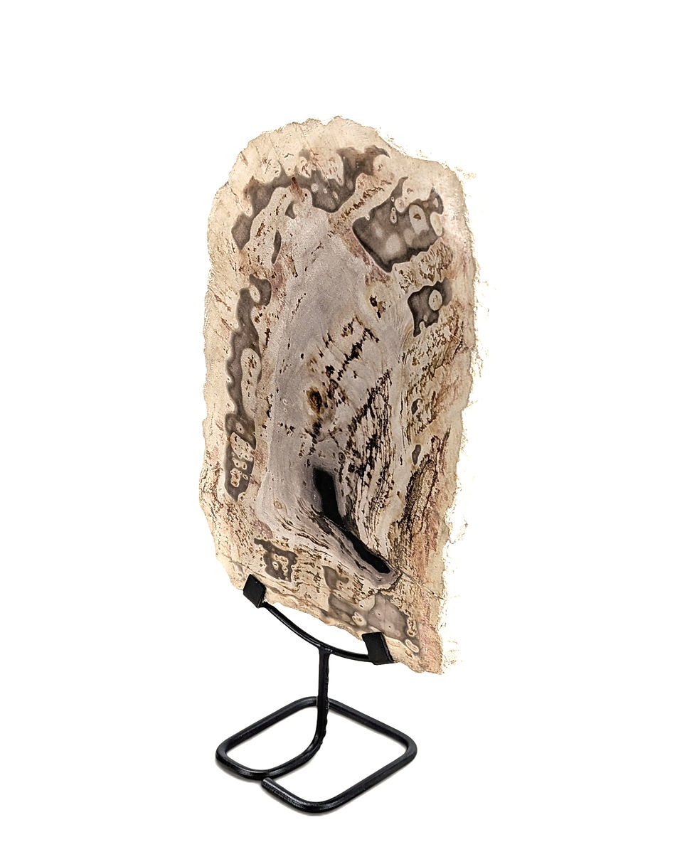 Thumbnail: Live-edge petrified wood statue with an irregular silhouette