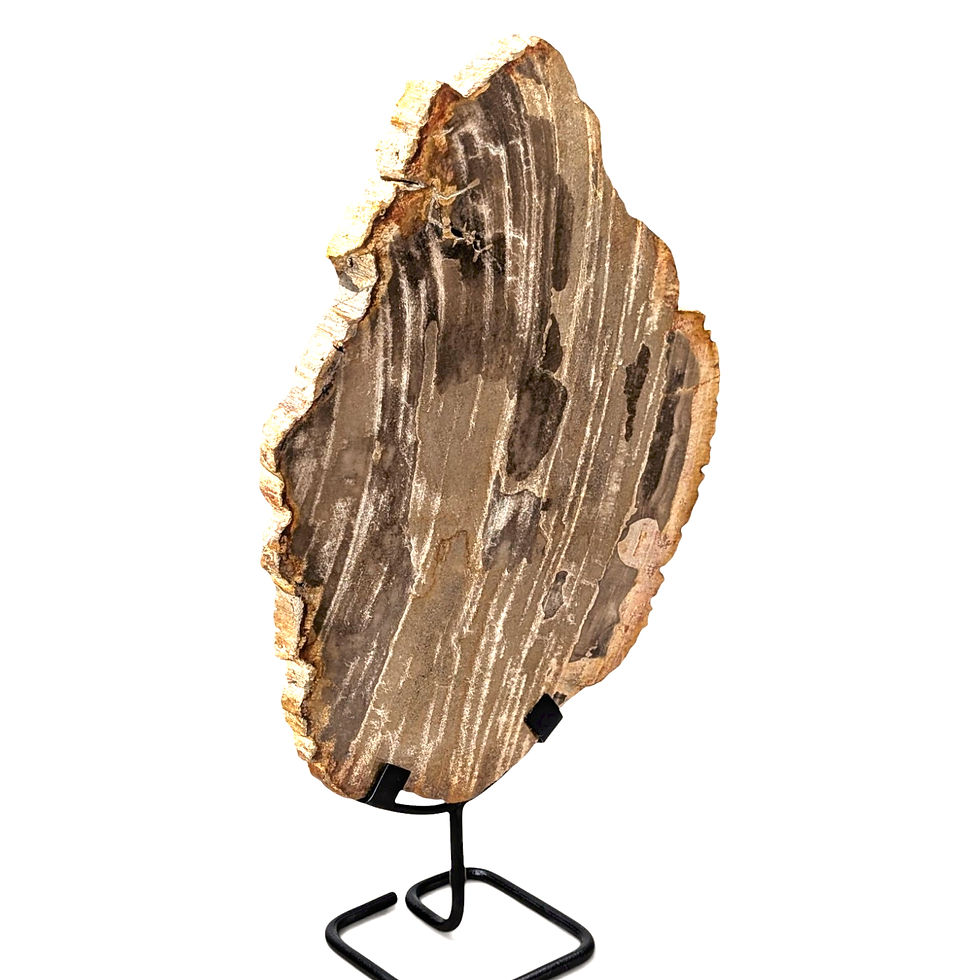 Thumbnail: Raw-edge petrified wood statue with organic contours