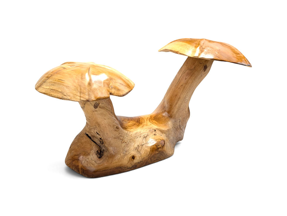 Thumbnail: Two-cap teak mushroom with irregular contours