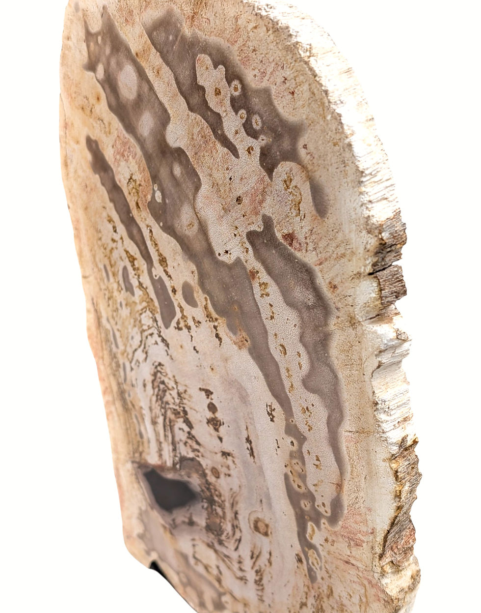 Thumbnail: Petrified wood fossil sculpture displayed in an upright position