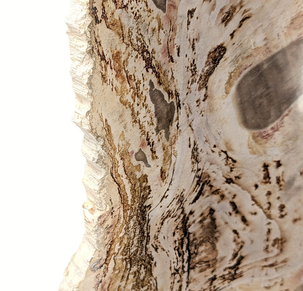Thumbnail: Earth-toned petrified wood statue with changing surface patterns