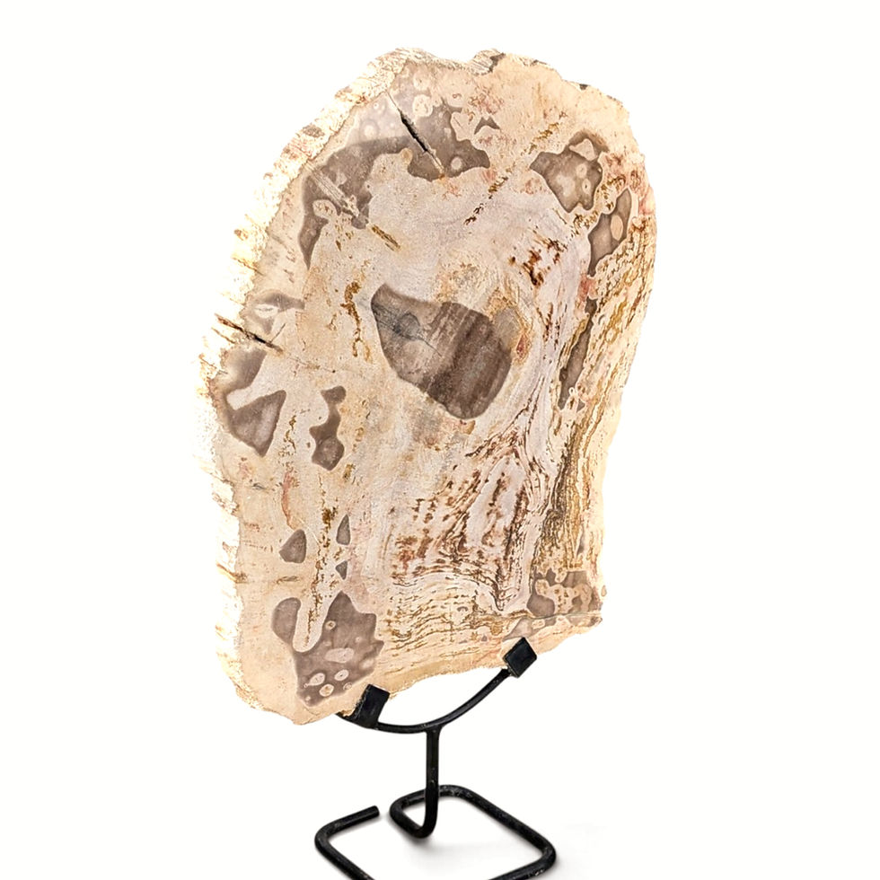 Thumbnail: Petrified wood fossil sculpture displayed in an upright position