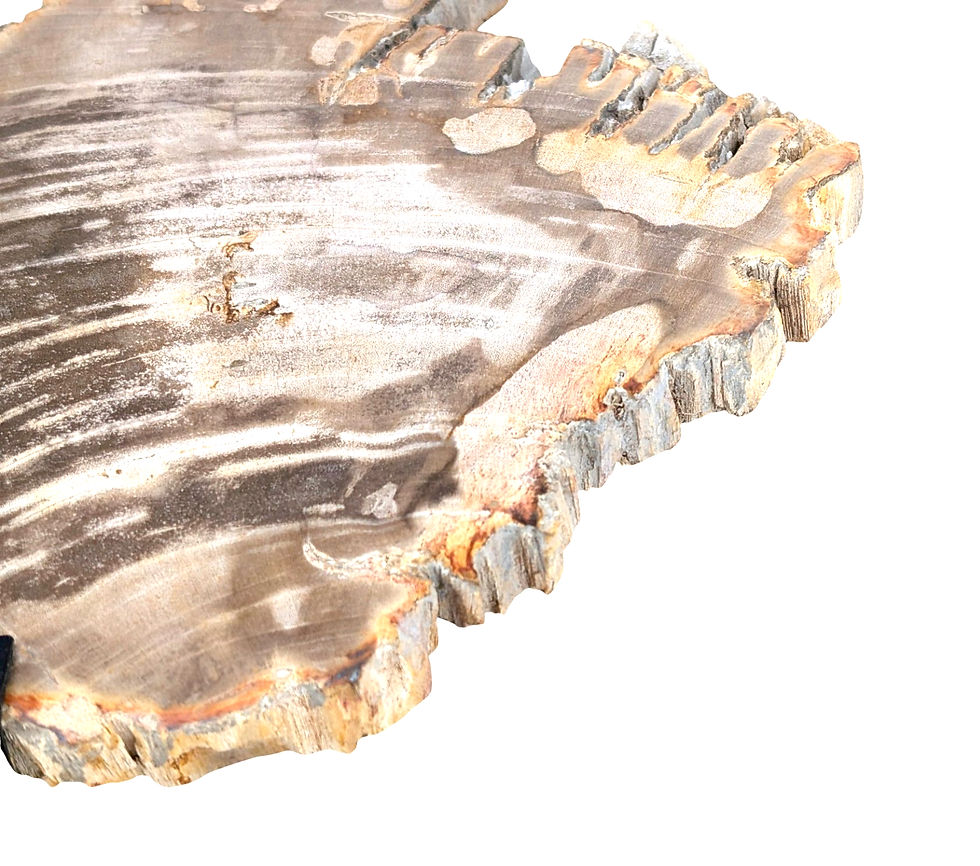 Thumbnail: Irregular petrified wood statue with a naturally expressive silhouette