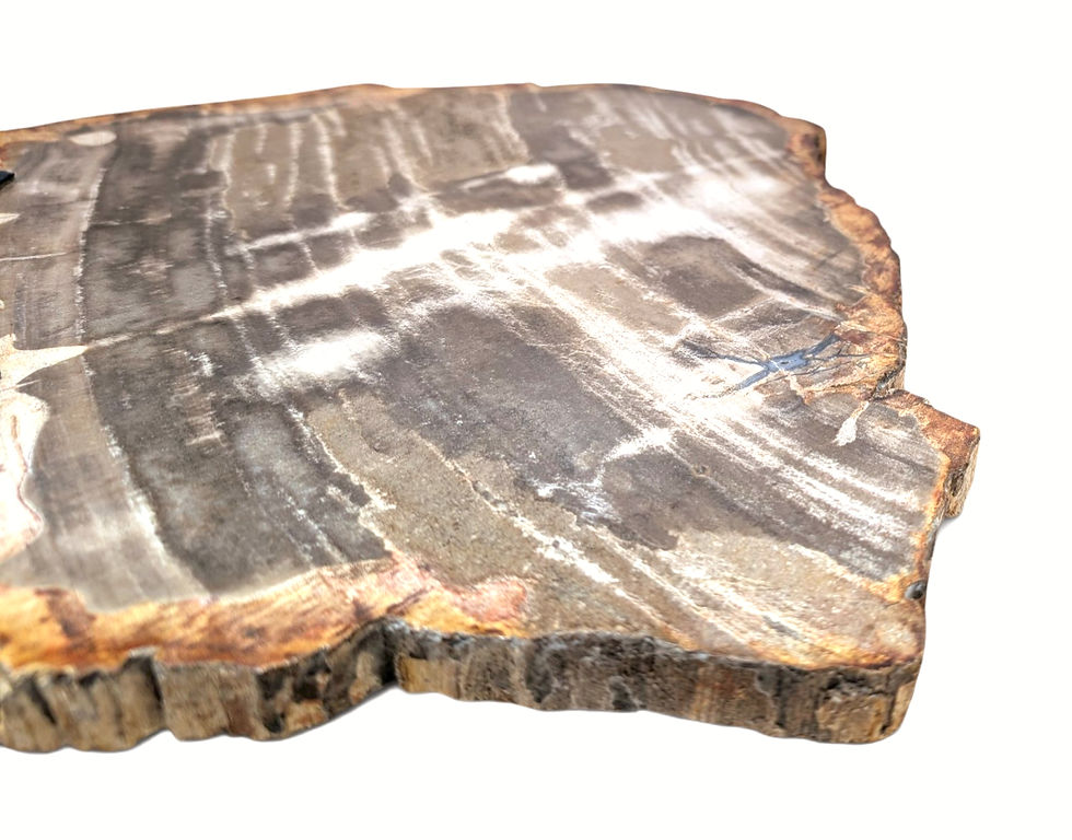 Thumbnail: Live edge stone sculpture with an irregular organic silhouette