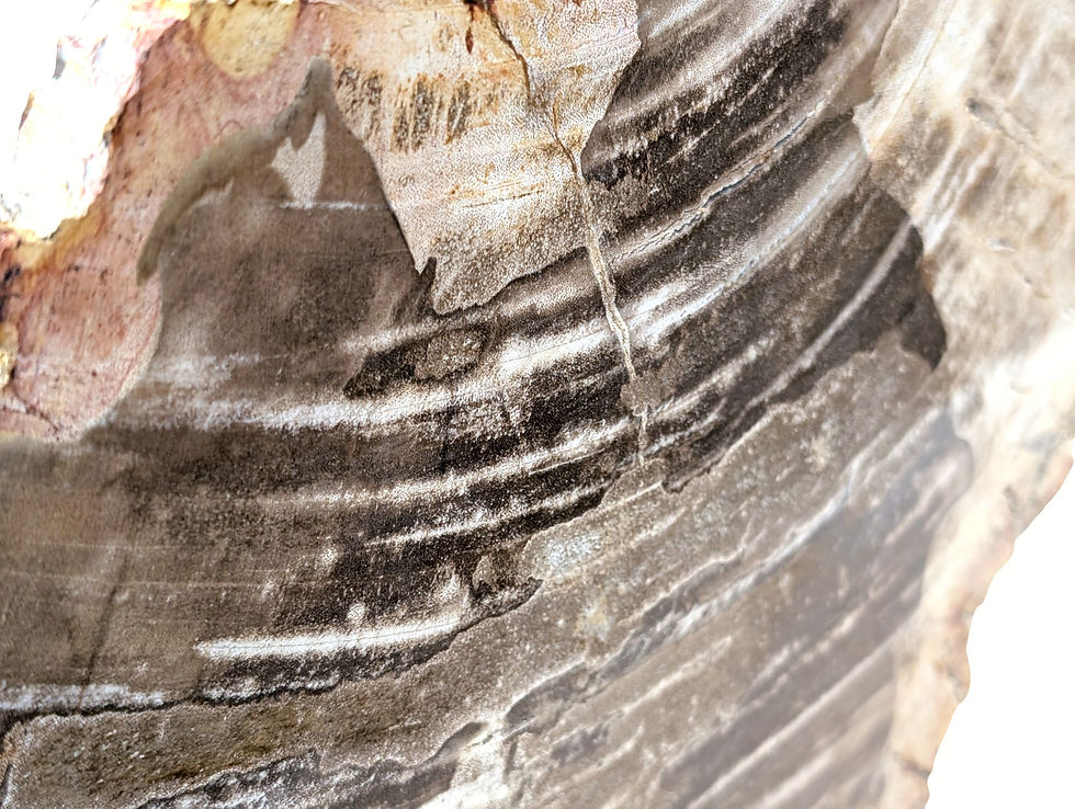 Thumbnail: Standing fossil statue with a naturally textured surface