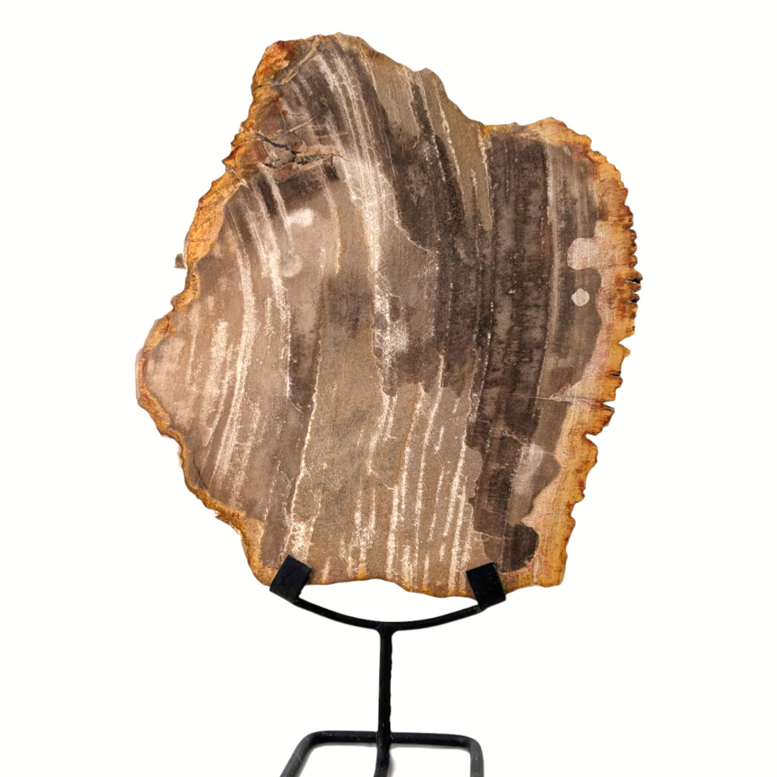 petrified wood sculpture metal stand natural grain