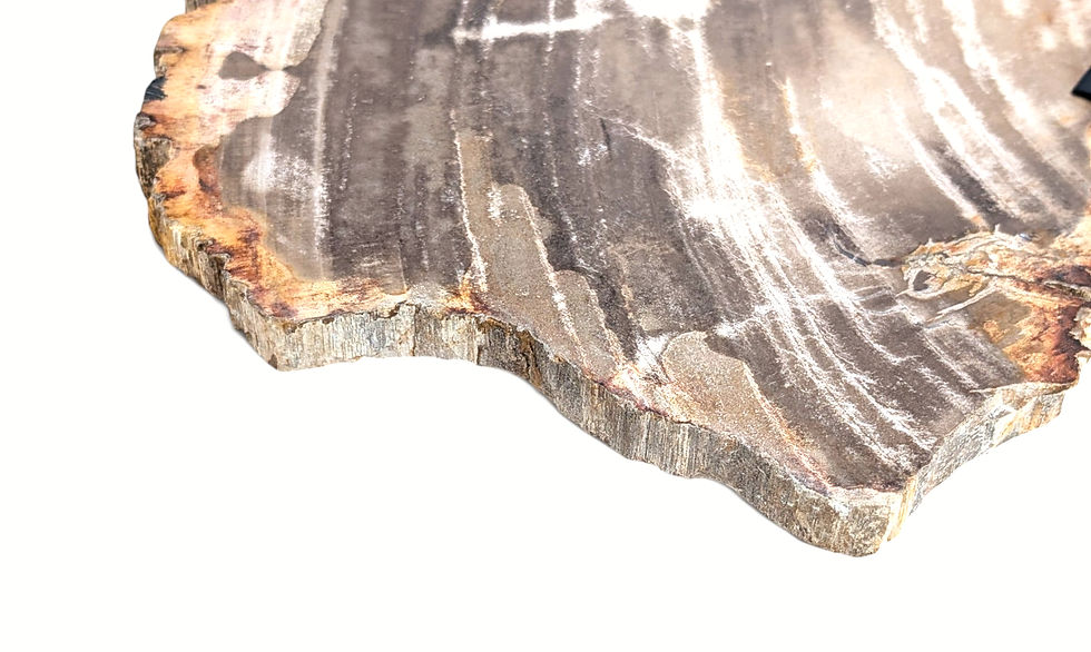 Thumbnail: Slab-cut petrified wood statue displaying individual color variation
