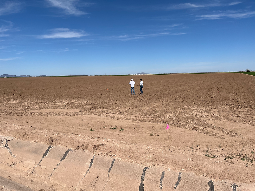 Surveying experimental area