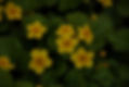 _MG_8154_edited.jpg