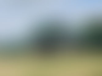 Tractor unit with a dribble bar attached to the rear of the vehicle. The vehicle is driving through a green field. 