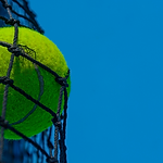 Tennis 2.png