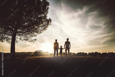 AdobeStock_463255900_Preview.jpeg
