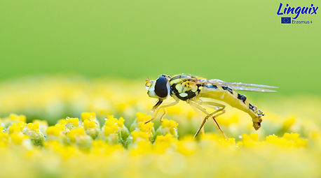 A-1366x768.jpg