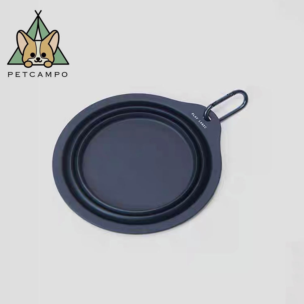 Thumbnail: Portable Folding Bowl