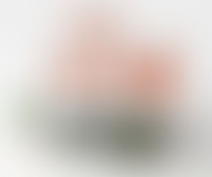 Choisir un cadre photo et où en acheter!