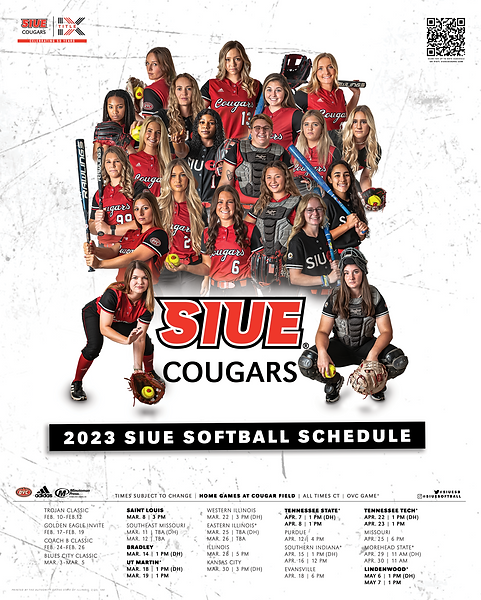 Softball Poster