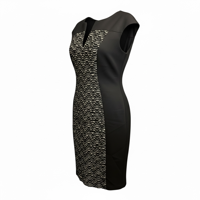 Thumbnail: Elegant Black and Cream Dress