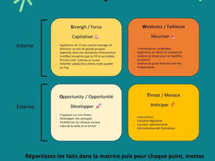 Oh my SWOT !