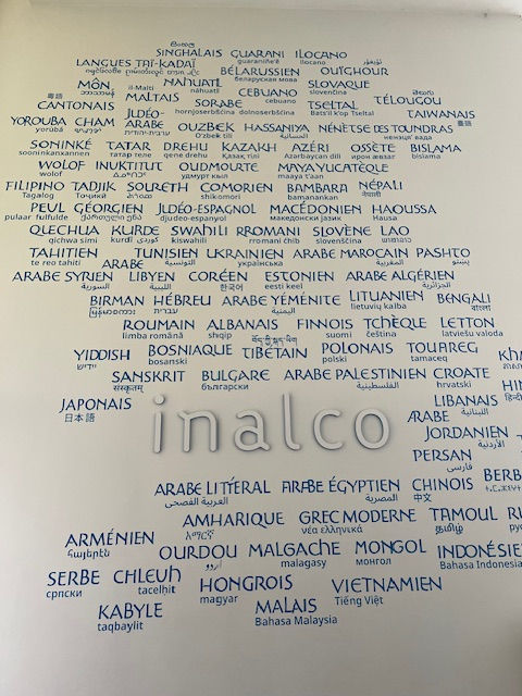 Astérix et Obélix, illustré pour le management - FormationForManager