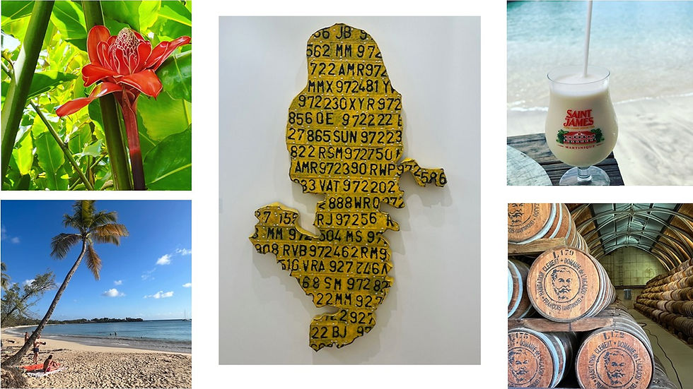 Martinique, l'île fleurie