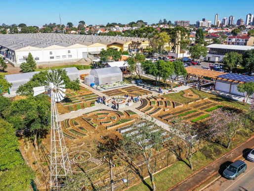 Fazenda Urbana de Curitiba ensina como plantar em pequenos espaços e fazer uma horta