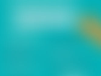 Pré-conferência municipal de proteção animal