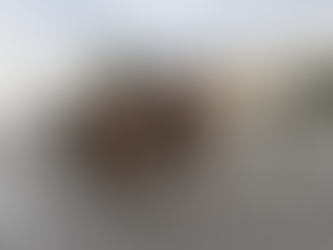 Capão da Imbuia receberá futuras instalações do 20º BPM