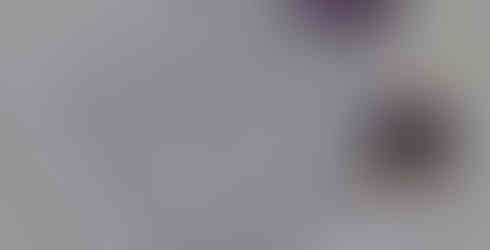 Indigo Berry packaging for amethyst earrings with information about the gemstone