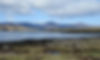 11April Loop Road Walk landscape 3.JPG
