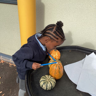 Settling into class 7