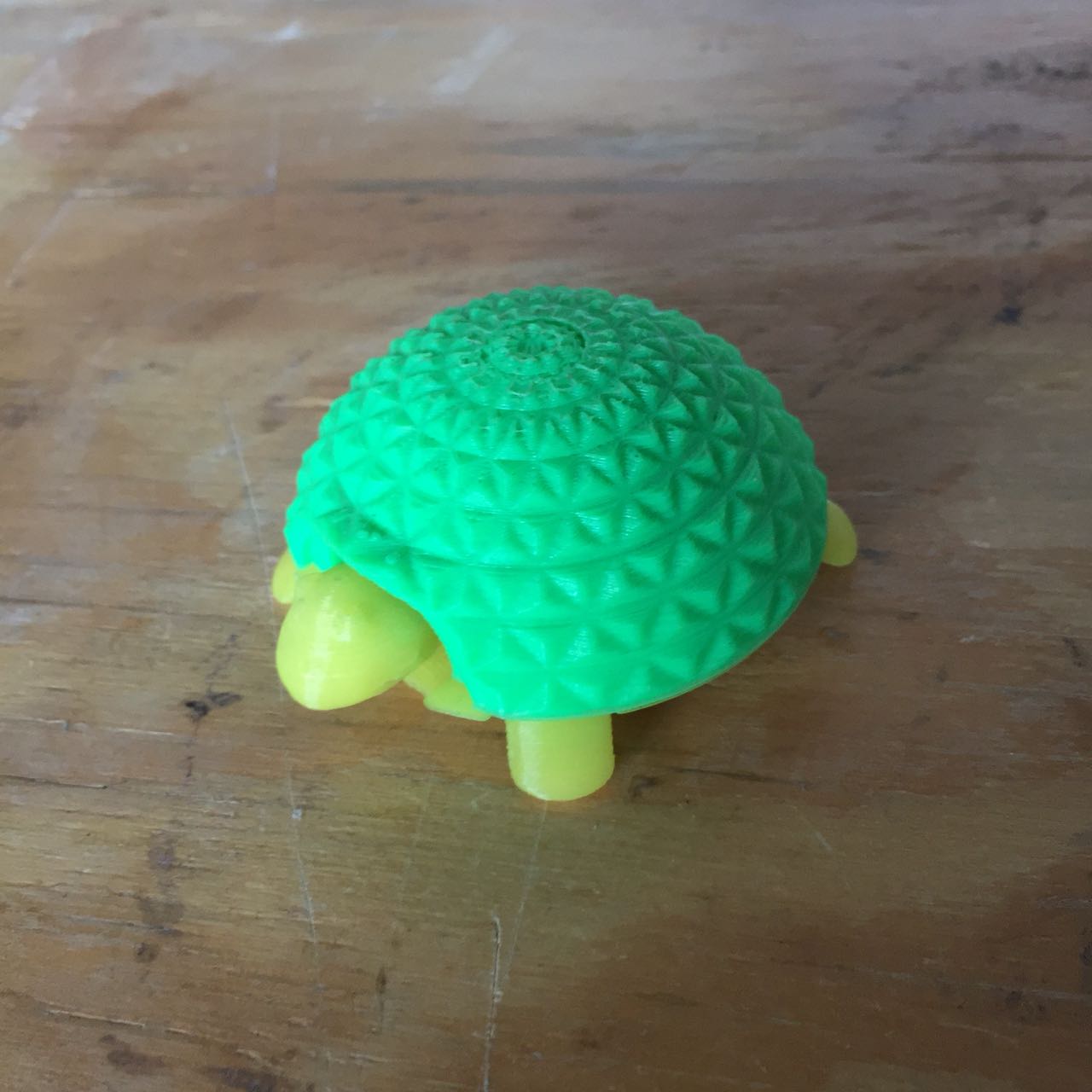 Tortuga ensamble
