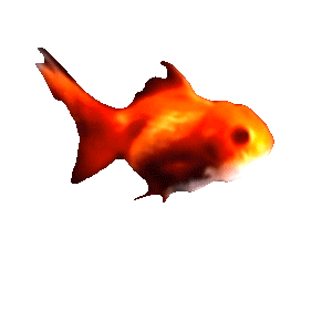 Pesce300px.gif