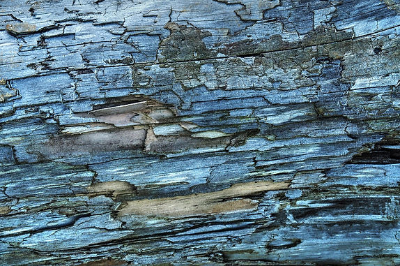Blue Wood