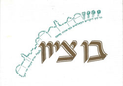 Bar Mitzvah Invite Cover