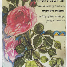 Rose of Sharon