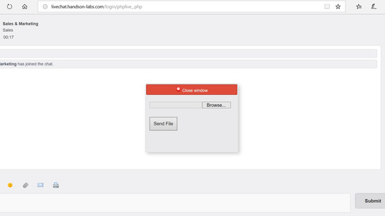 File Upload